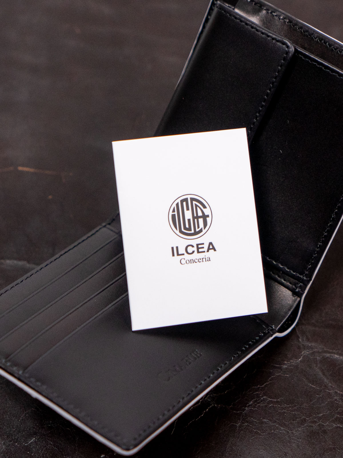 ヒマラヤクロコダイル 内装