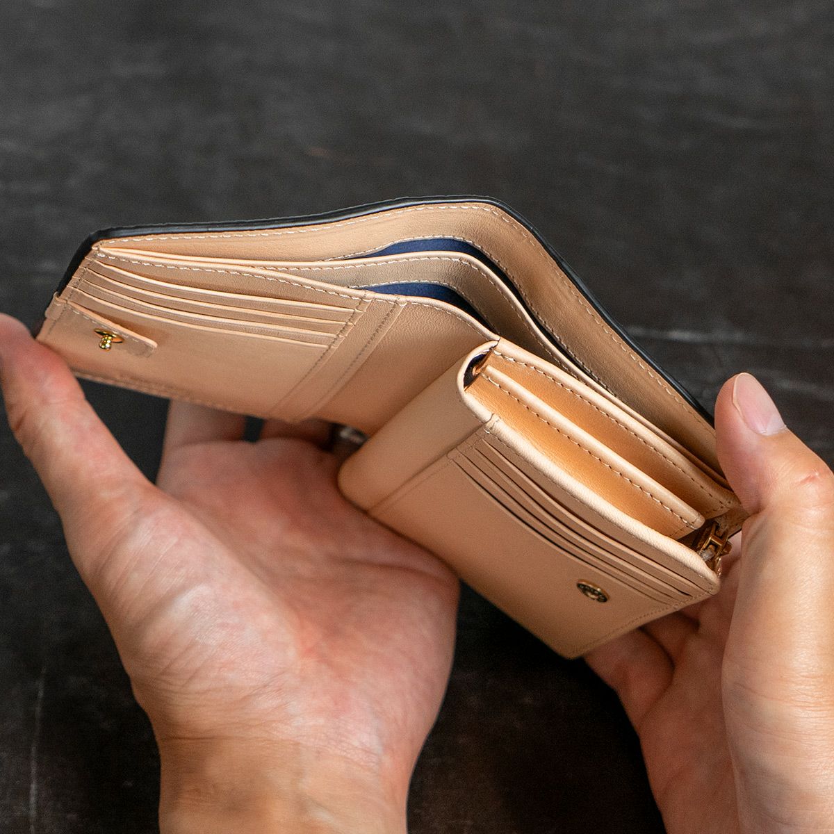 ガルーシャ深札入れ