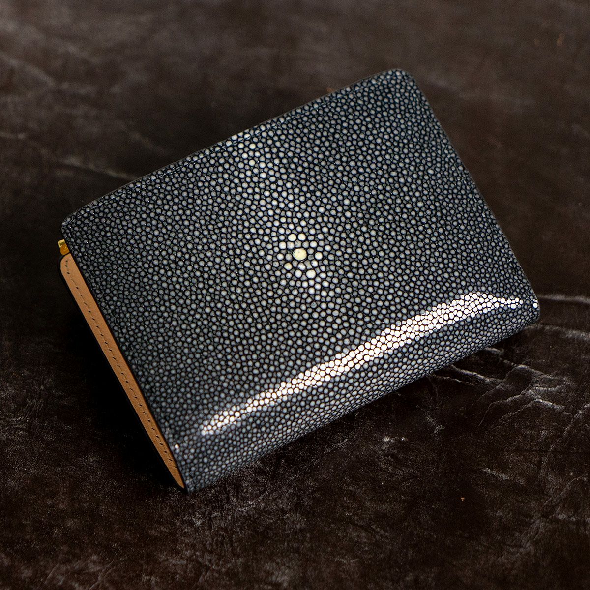 ガルーシャ深札入れ