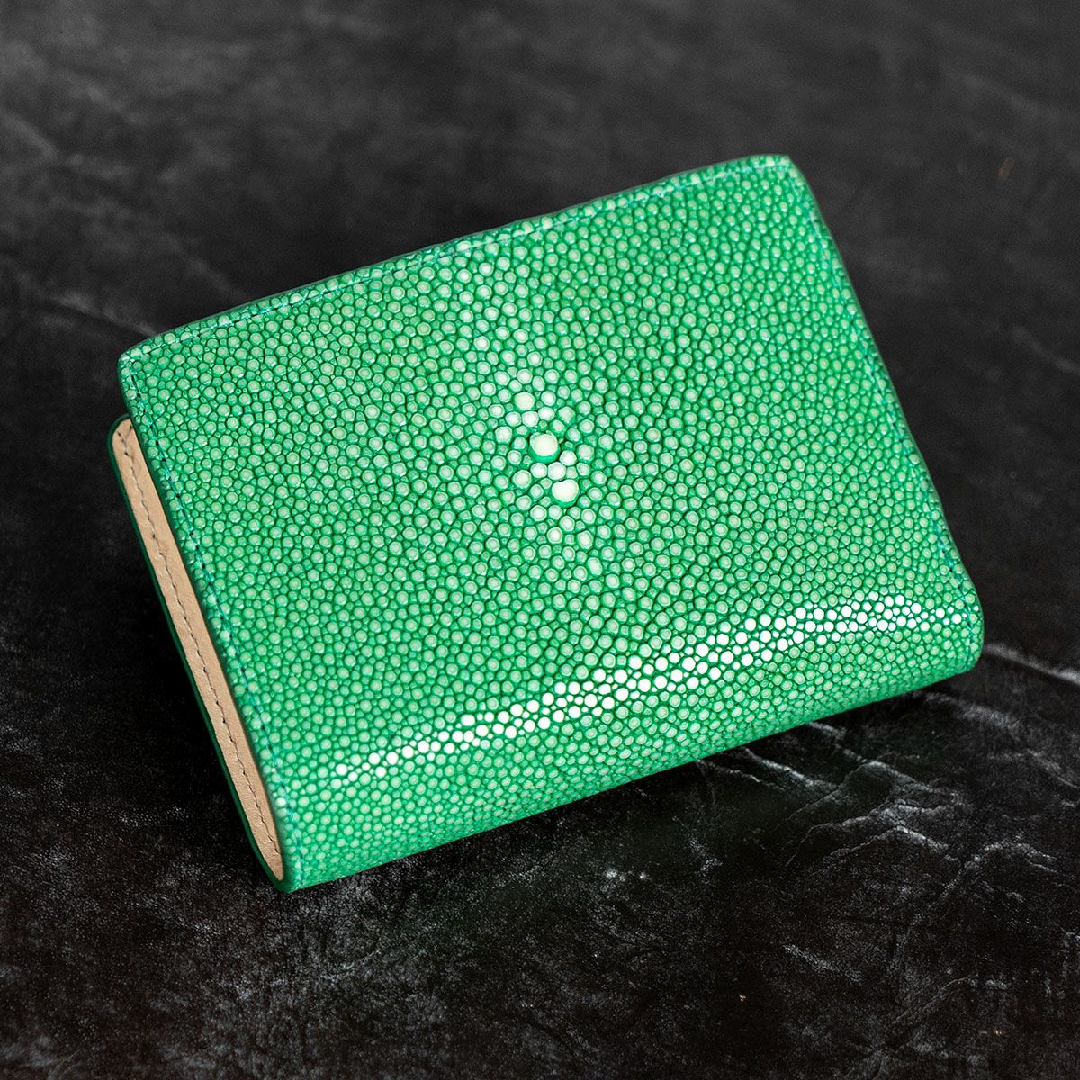 ガルーシャ深札入れ