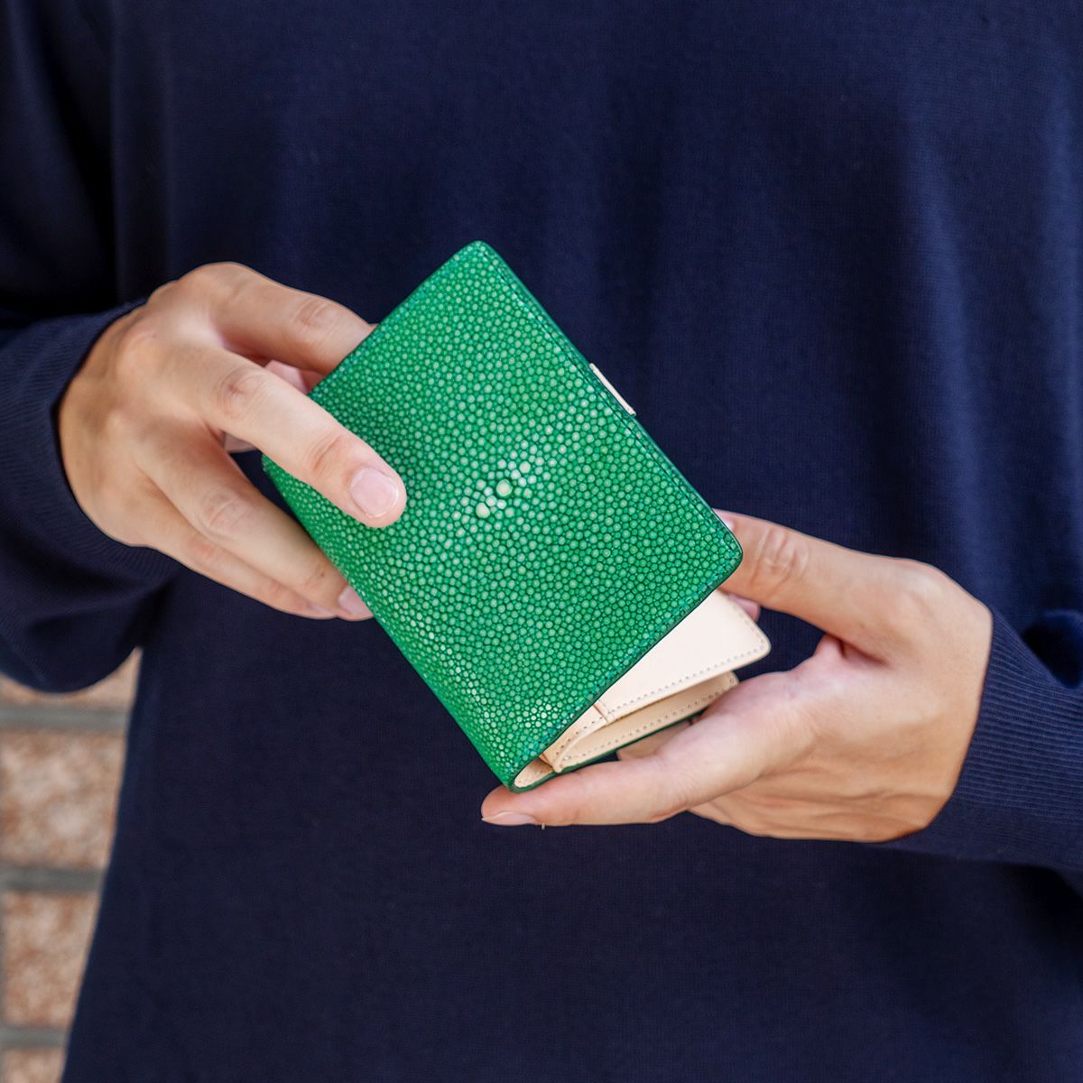 ガルーシャ深札入れ